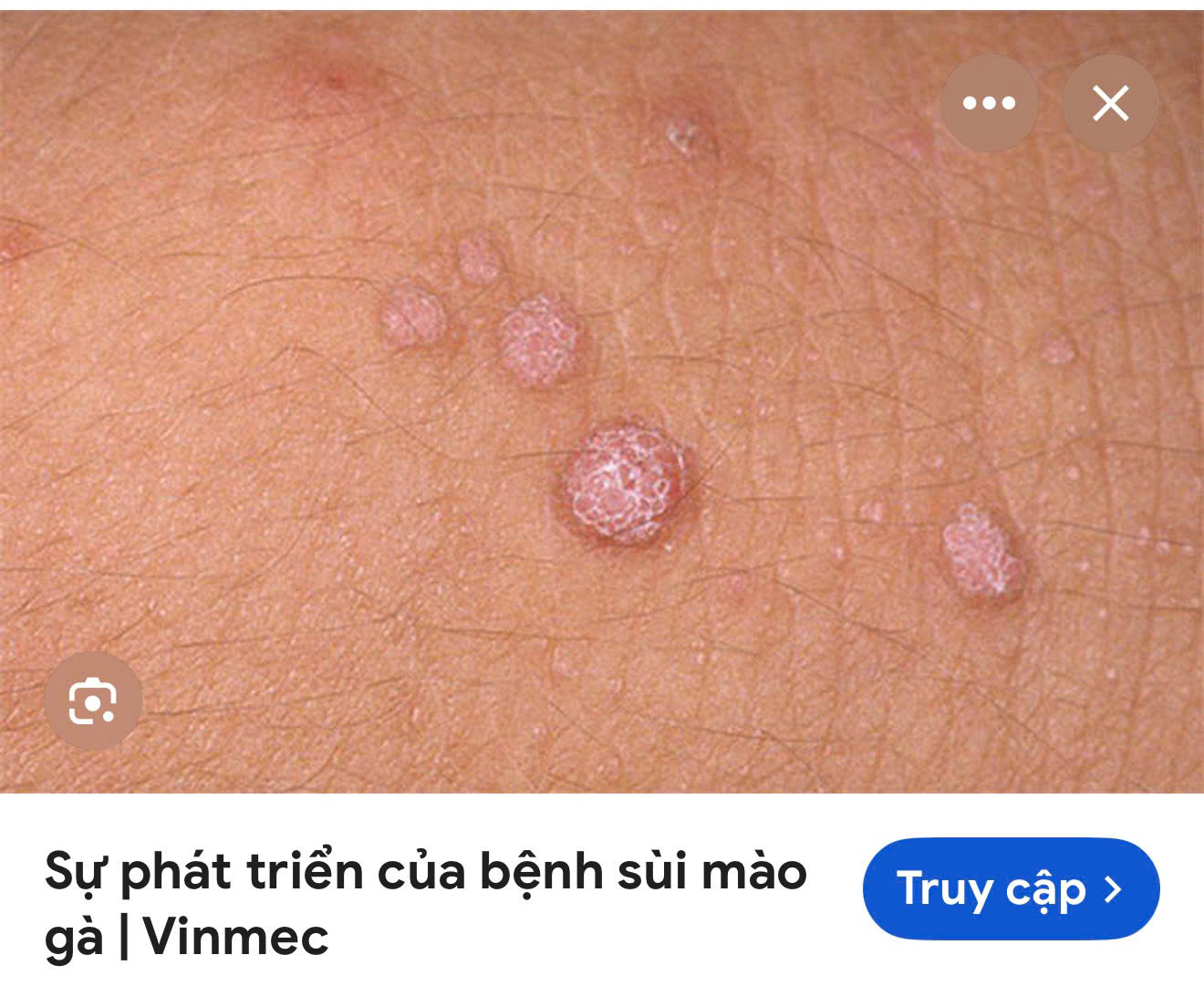 785454-bc9acbeebebe.jpg