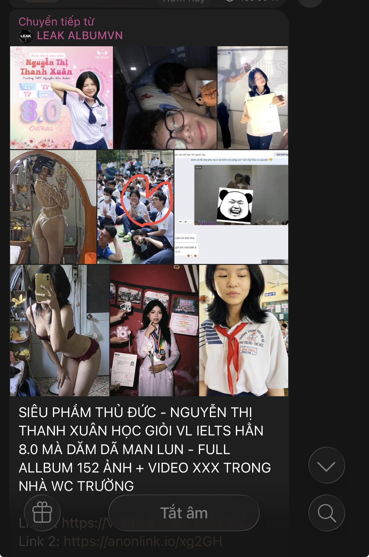 786235-e403fcadc24a.jpeg