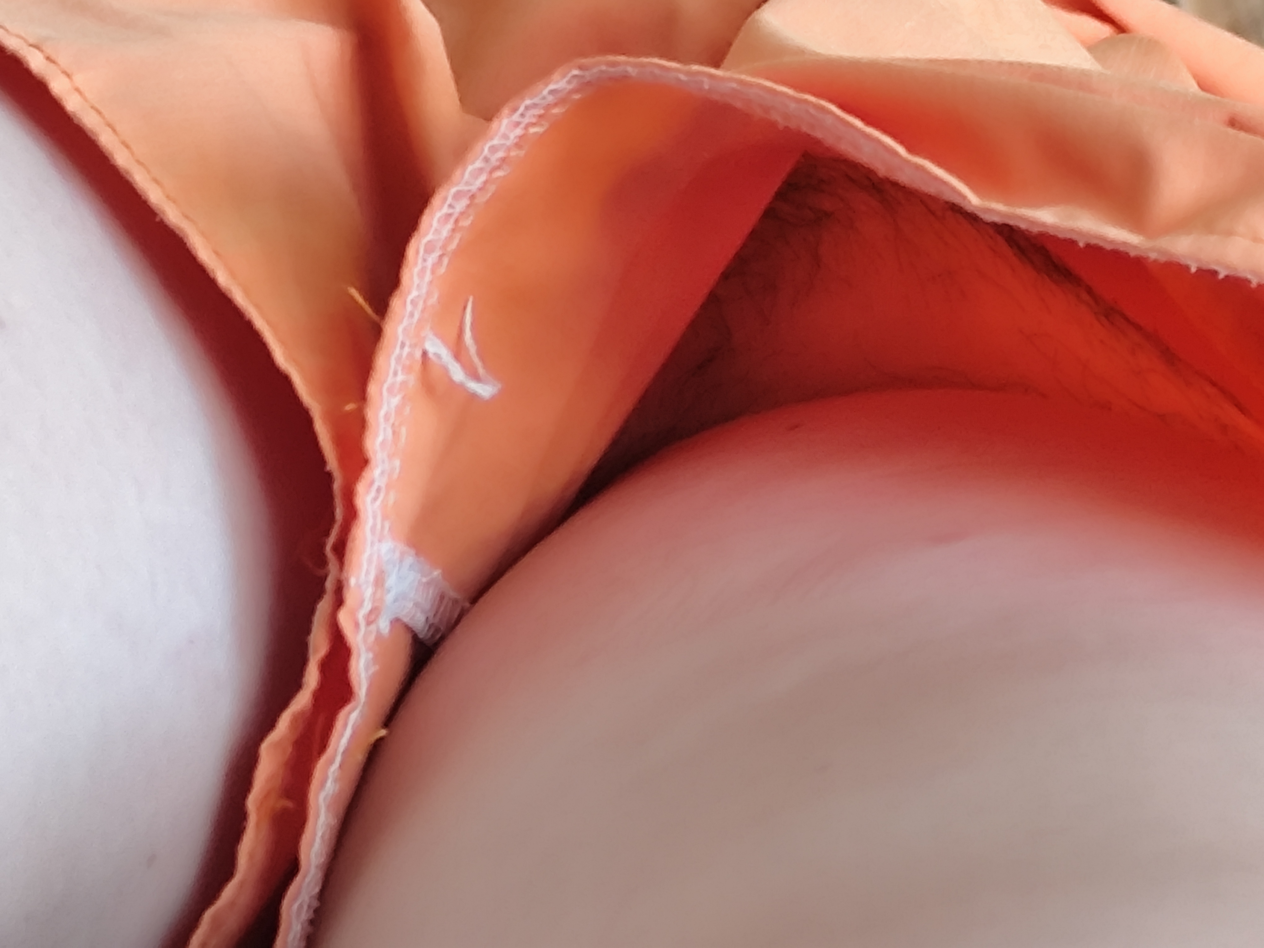 788850-73c0760632d4.jpg