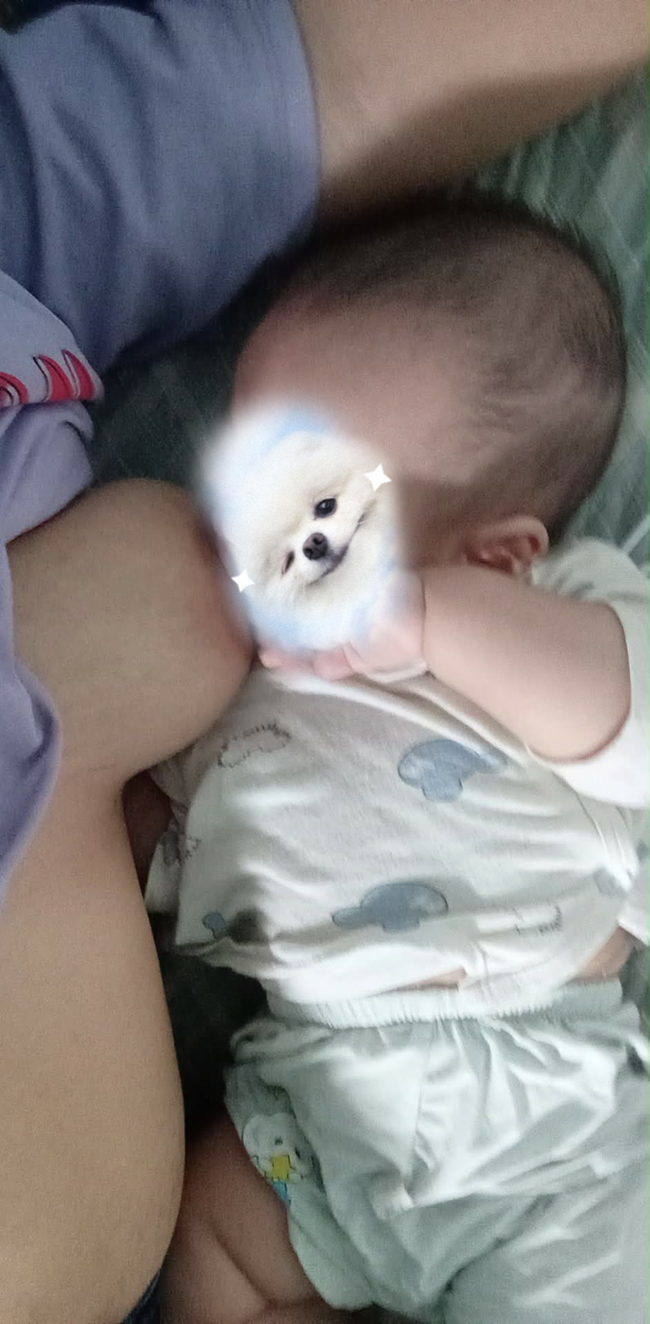 800900-419c704d8211.jpeg