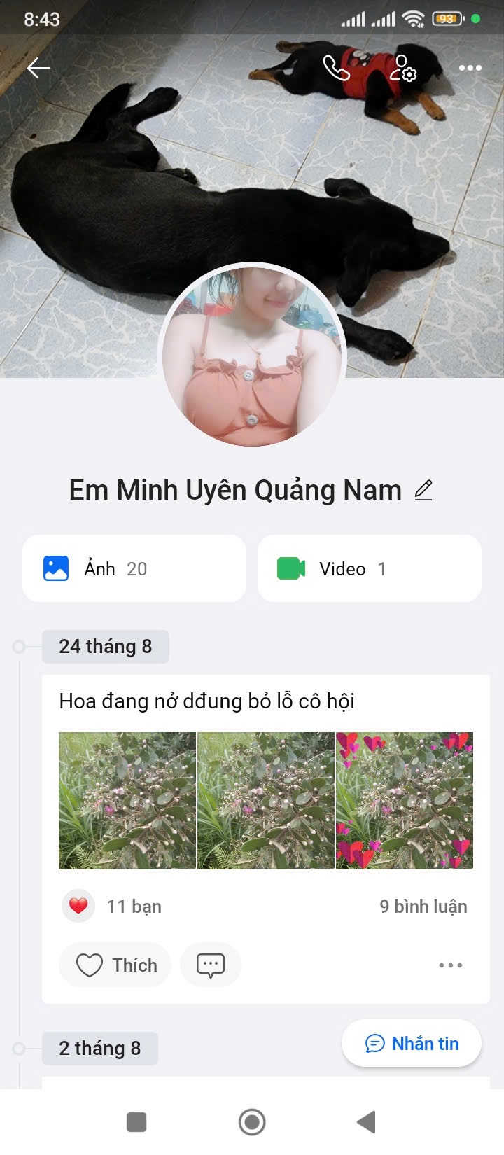 824746-e7db510af312.jpeg