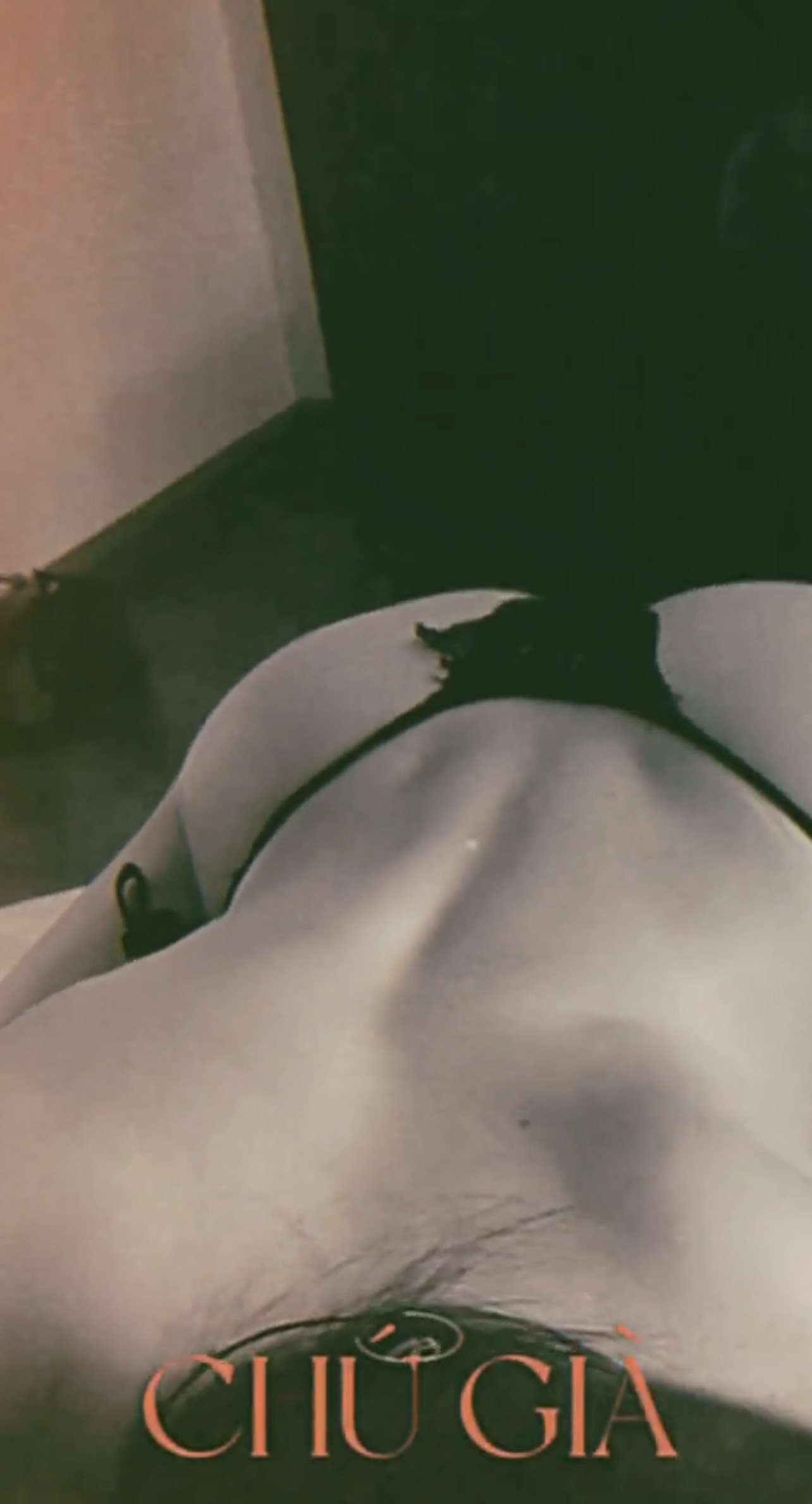 830231-7a67527fdecd.jpeg